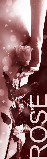 Status Rose - Honorarübersicht Escort Hamburg Status Rose - Honorarübersicht Escort Hamburg