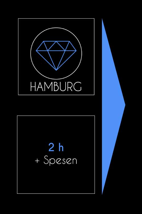2h+Spesen