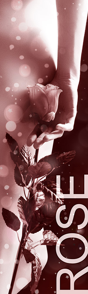 Honorar Status Rose - Escort Service Hamburg Honorar Status Rose - Escort Service Hamburg